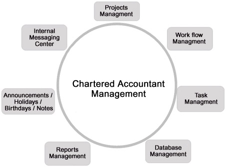 Chartered Accountant Management